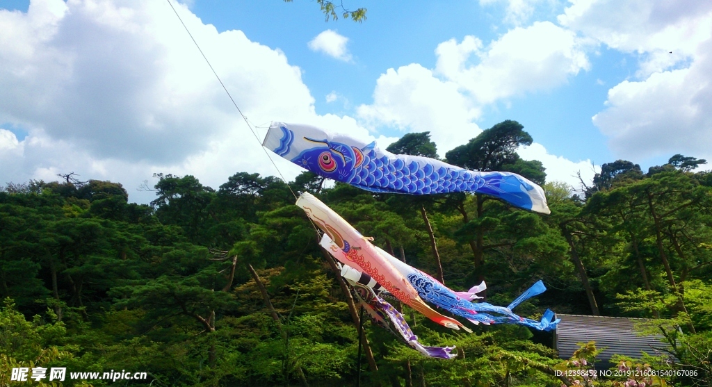 鲤鱼旗