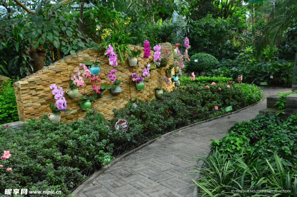 温室风景