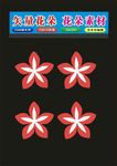 花朵红色花