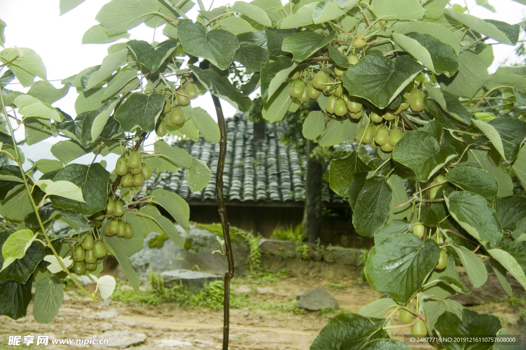 漓江 风景图 素材 山水 摄影