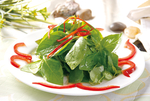 椒丝荆芥