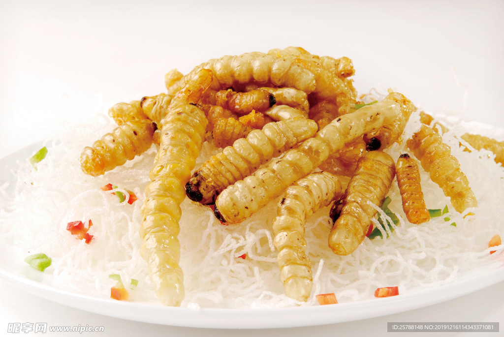 白蘑朵柴虫