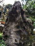 石头 表面 岩石 纹理 石壁