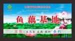荷塘