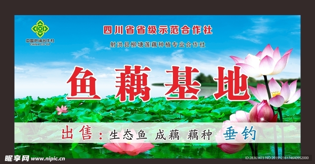 荷塘