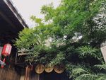 三坊七巷