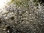 水花