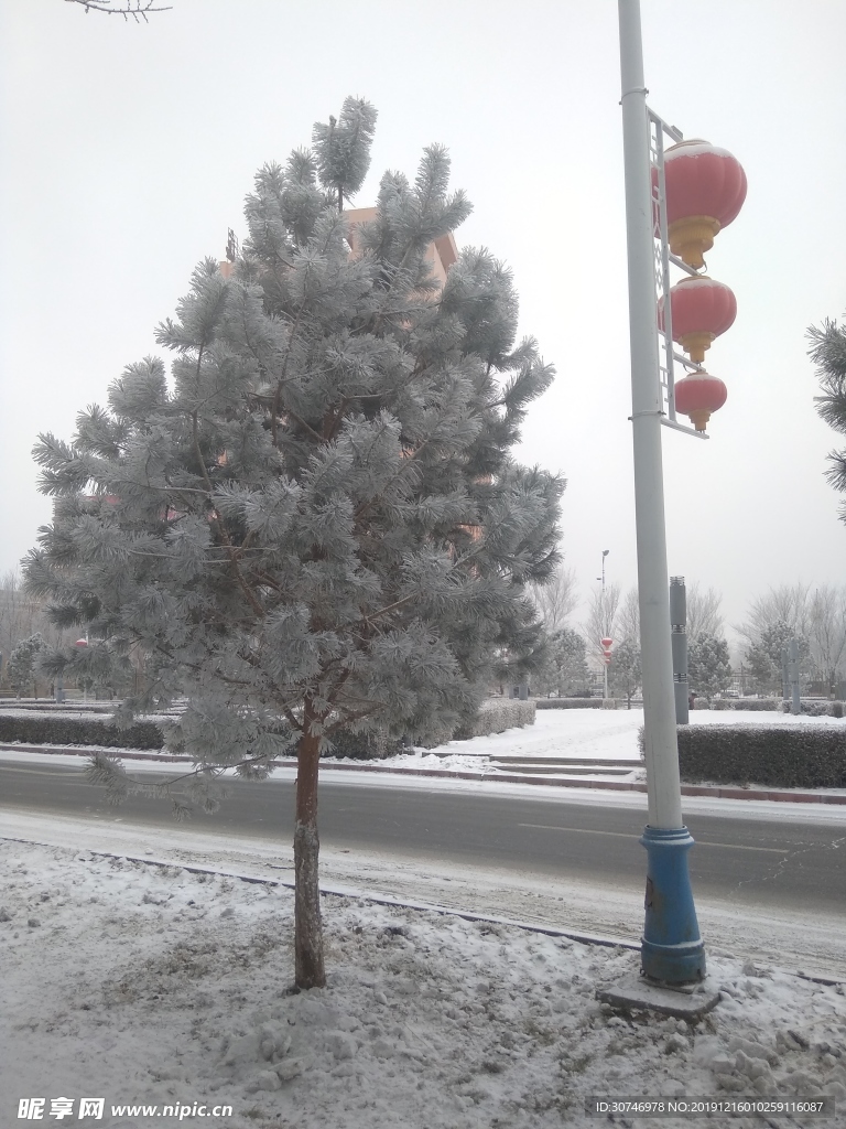 雪