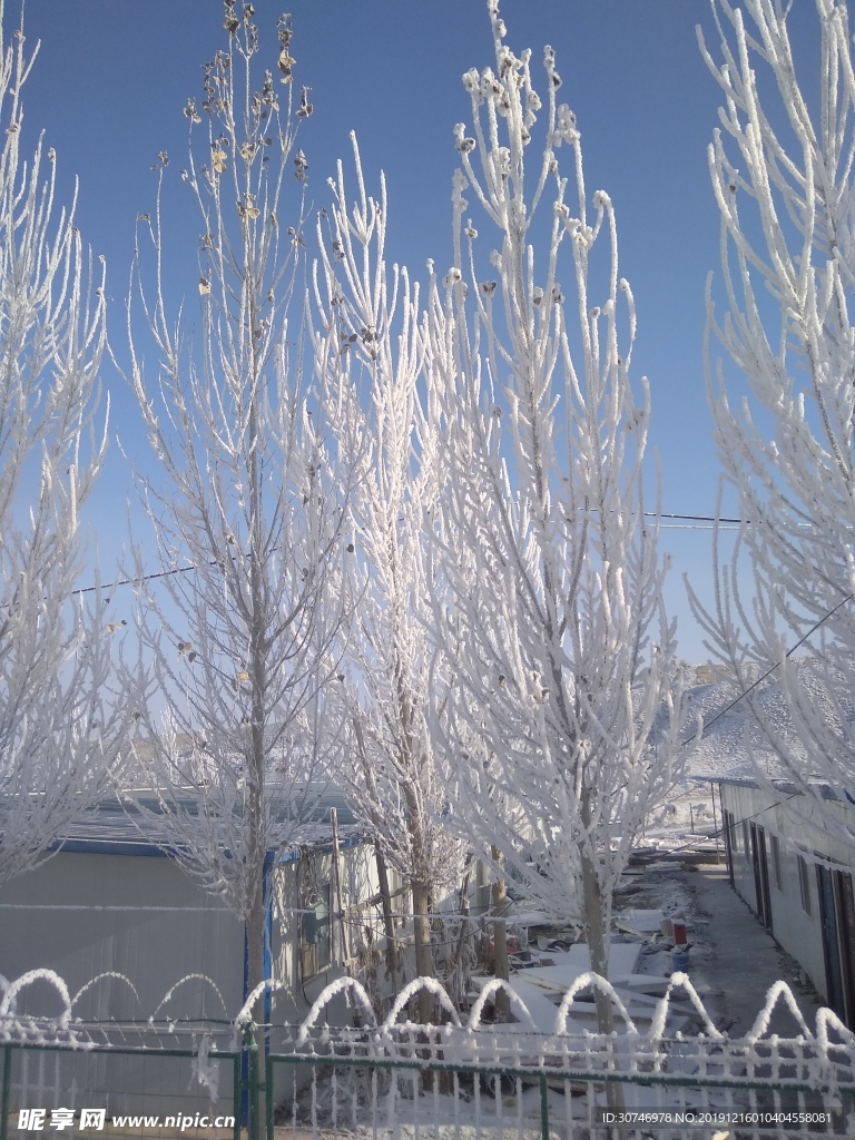雪