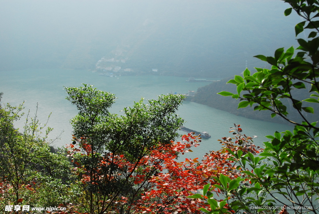 巫山红叶 对岸