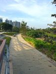 城市公园