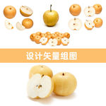 丰水梨矢量