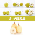 水晶梨矢量
