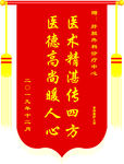 锦旗  医院  感谢旗