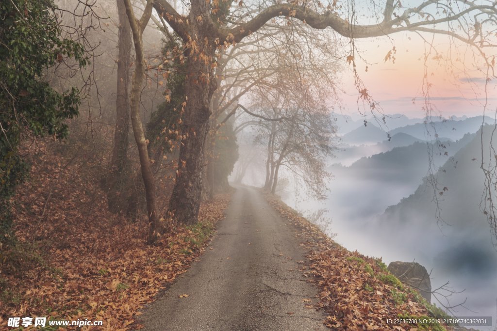 风景