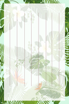 小清新信纸