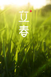 立春