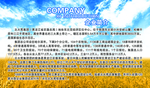 企业简介