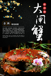 大闸蟹海报