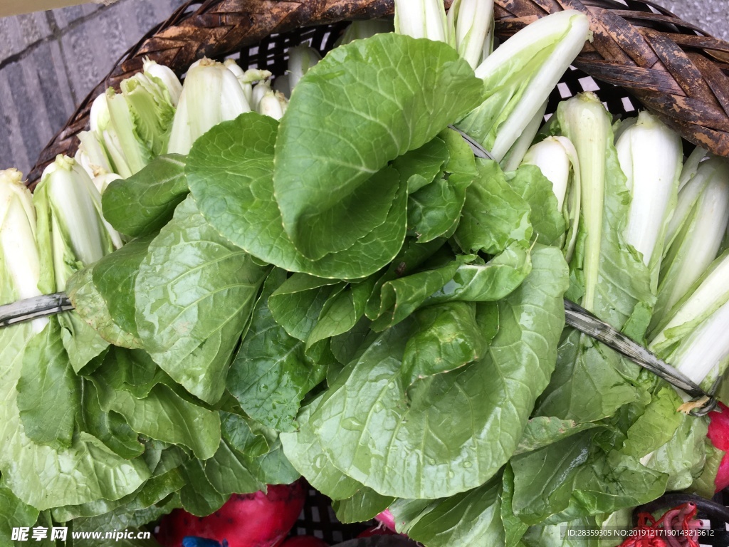 小白菜 白菜 有机蔬菜 蔬菜