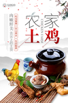 农家土鸡海报