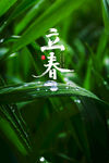 立春