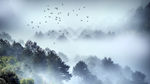 写意山水风景