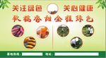 绿色健康蜜薯