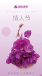 情人节