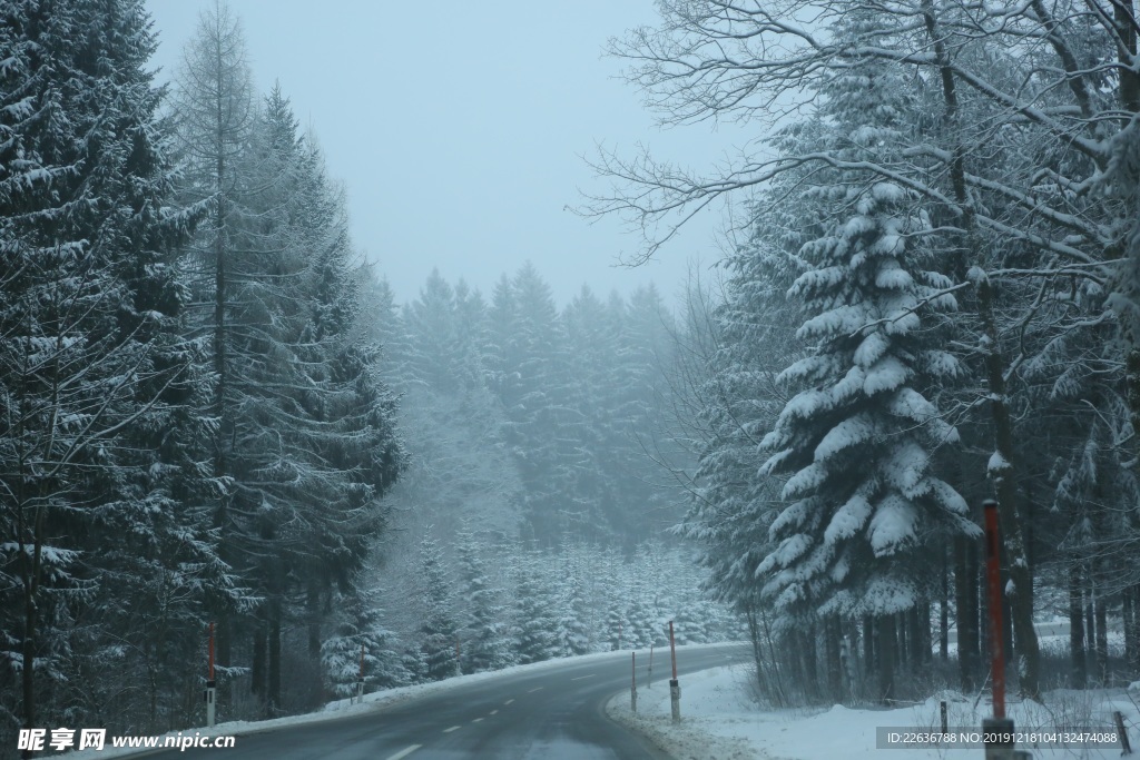 雪景