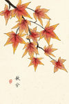 秋分 装饰画