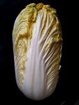 白菜 大白菜 奶白菜 火锅菜品