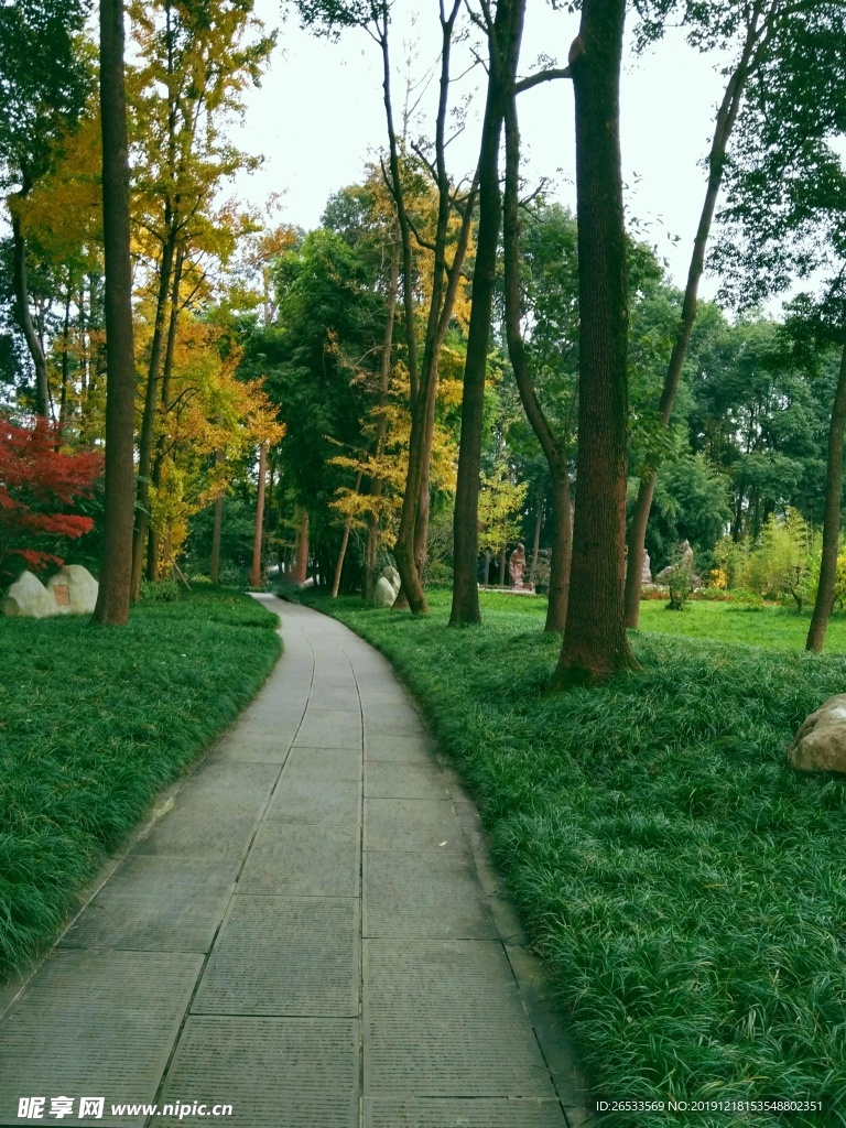 公园石板路 石头路 绿色 秋天