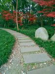 公园石板路 石头路 绿色 秋天