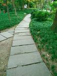 公园石板路 石头路 绿色 秋天