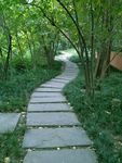 公园石板路 石头路 绿色 秋天