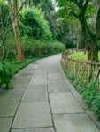 公园石板路 石头路 绿色 秋天