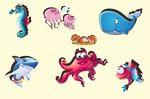 海洋生物