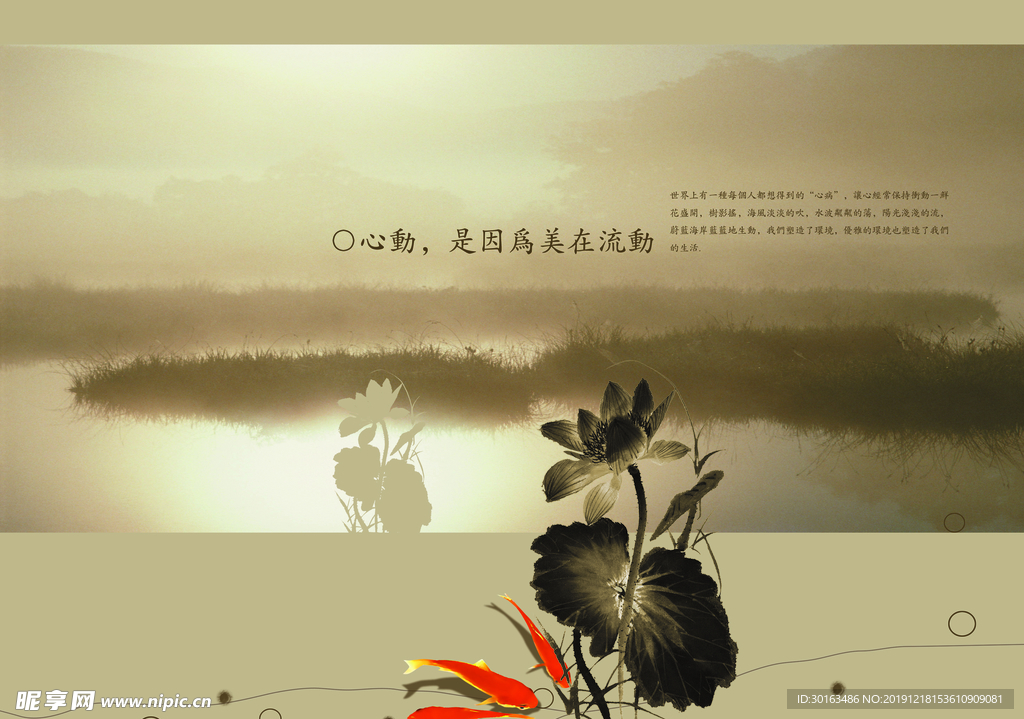 荷叶  金鱼  背景  分层