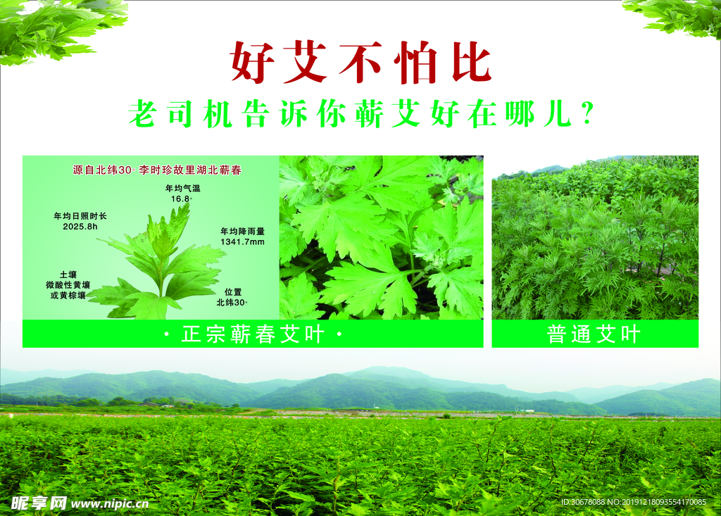 中医文化海报  中医养生 推拿