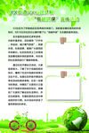 低碳环宣传活动