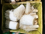 金针菇