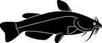海洋生物系列 海鱼