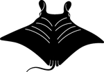 海洋生物系列 魔鬼鱼