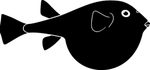 海洋生物系列 河鲀