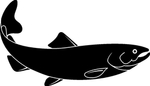 海洋生物系列 海鱼