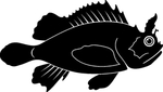 海洋生物系列 海鱼