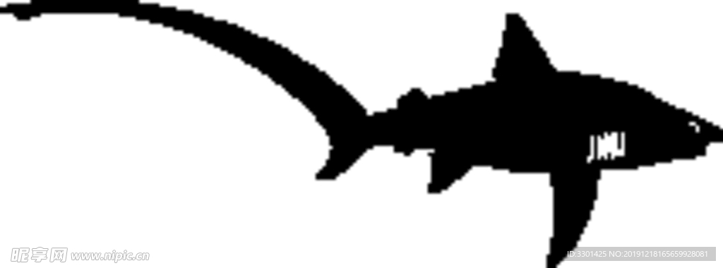 海洋生物系列 长尾鲨