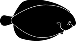 海洋生物系列 海鱼
