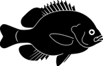 海洋生物系列 海鱼